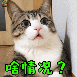 嘉联立刷POS机，突然收取收款无忧保险费？应该如何应对？(附详细永久取消教程)